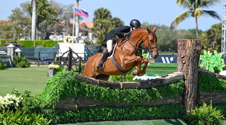 The Horse Jumps Trending in 2025