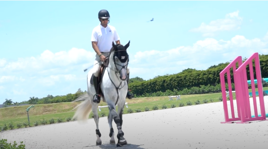 Why Lorcan Gallagher and Heathman Farm prefer to Use Dalman Jump Co.