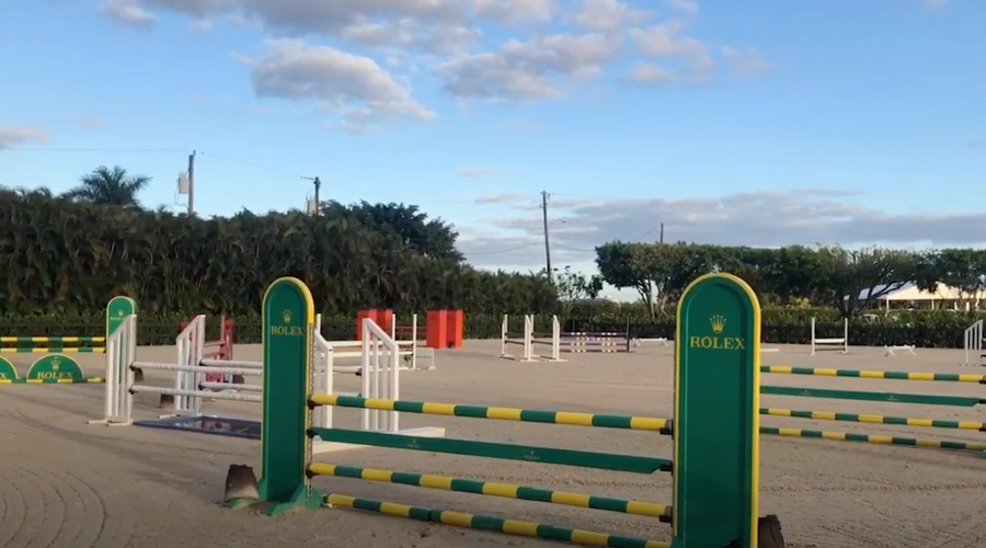 What's in Your Arena? | Andrew Welles