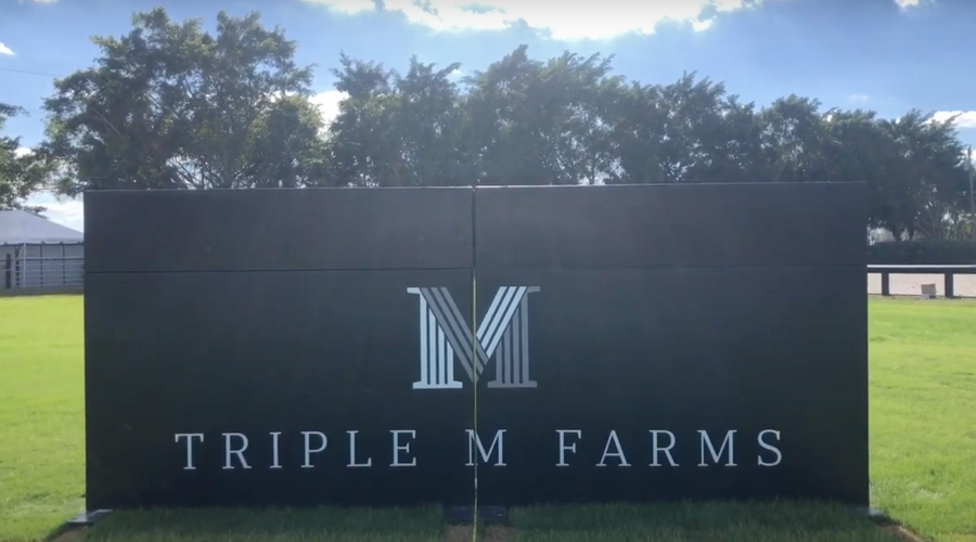 What's in Your Arena? | Jessica Mendoza