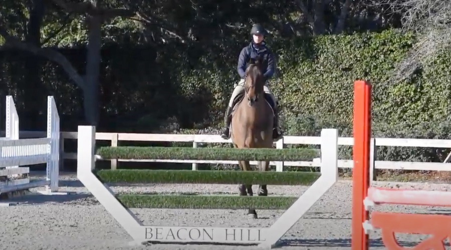 Take a Look Inside Beacon Hill Show Stables’ Arena