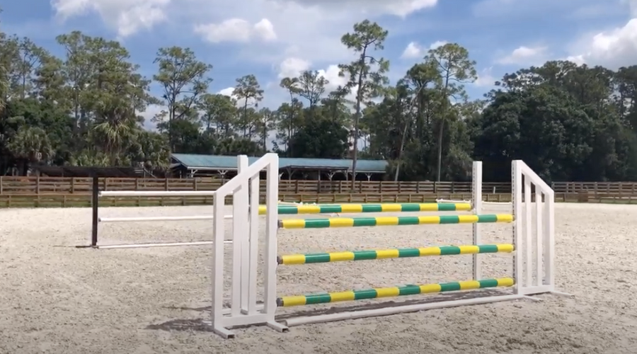 Kelli Cruciotti-VanderVeen’s Favorite Gymnastics Exercise for Horses