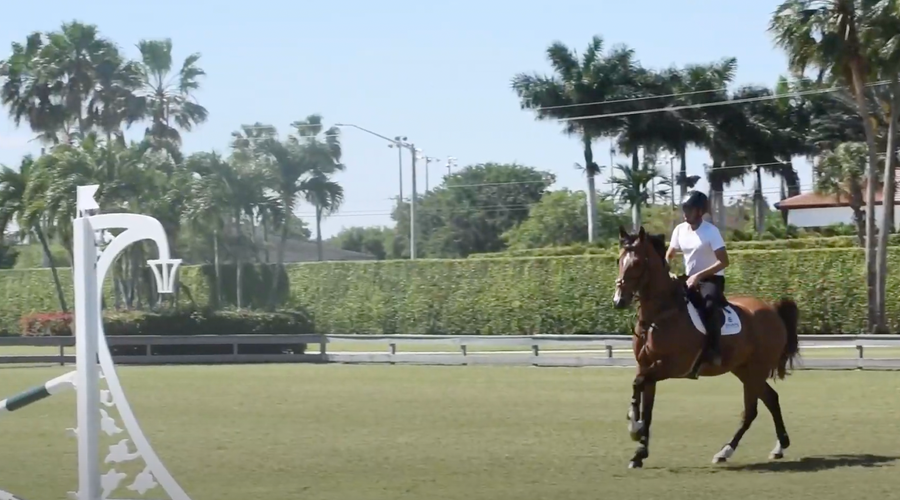 What's in Abdel Saïd's Arena?