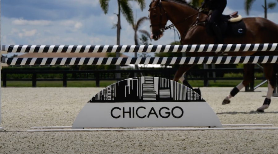 How Catherine Tyree Flores Prepares her Horses for the Summer Show Season