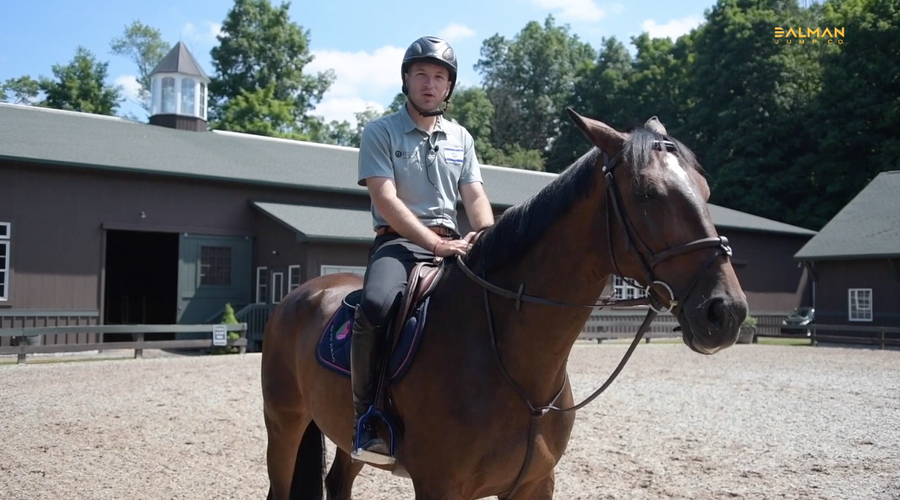 What's in Your Arena with Steven Bluman