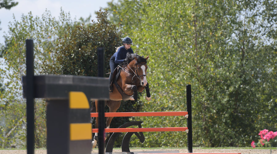 Three Jumping Exercises from Expert Equestrians to Improve Your Ride