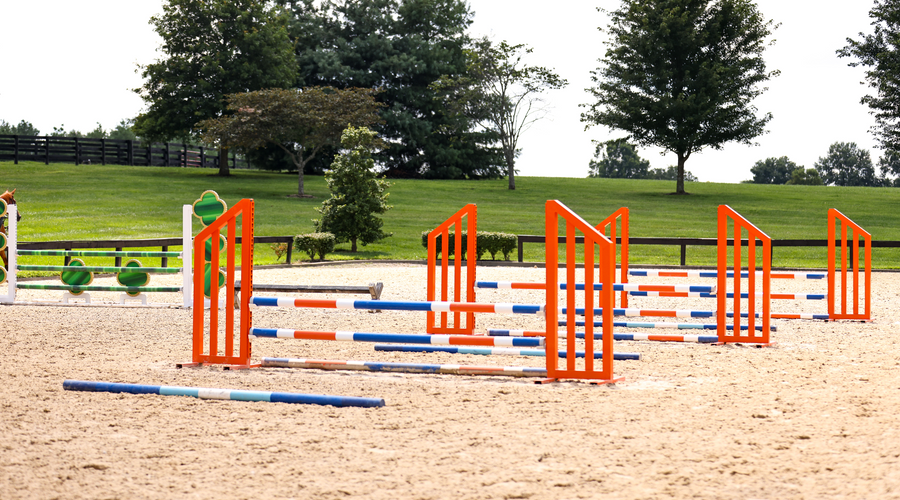 Horse Jump Essentials Every Equestrian Needs