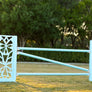 Designer Lite Jump Standards