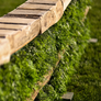 "Fernalicious" Hunter & Equitation Wall (12' Version) by Dalman Jump Co.