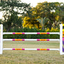 Designer Lite Jump Standards