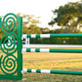 Designer Lite Jump Standards