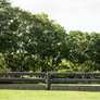 Lavender Fields Derby Fence by Dalman Jump Co.