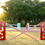 Designer Lite Jump Standards