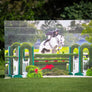 Picture Jumper Walls