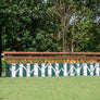 Schooling Hunter Complete Jump