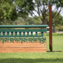 Brown schooling jump standards