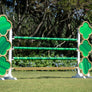 Van cleef horse jump