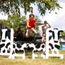 Kid Jumps