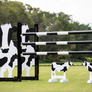 Animal jump fillers by Dalman Jump Co. - Cow