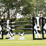 Cow Standards (Designer Series) with matching Animal Filler