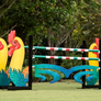Rooster Jump Standards (Designer Series) from Dalman Jump Co