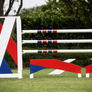 Delta Standards (Designer Series) with matching Jump Filler