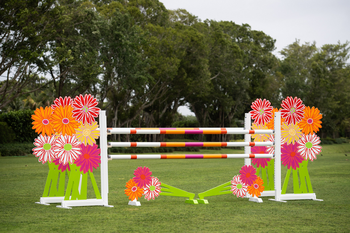 The Lilly Jump Standards from Dalman Jump Co.