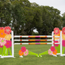 The Lilly Jump Standards from Dalman Jump Co.