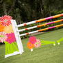 The Lilly Standards (Designer Series) with matching jump filler