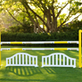 Equitation Ring Jump Package