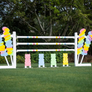 Pony Jumper Package