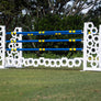 Hexagon jumper gate