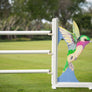 Hummingbird horse jump