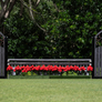 Wrought Iron (Designer Series Standards) from Dalman Jump Co.