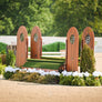 Hunter horse show standards