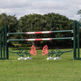 Aluminum Picketed Wing Standards and Rose Cutout Jump Fillers from Dalman Jump Co.