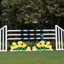 Aluminum Picketed Wing Standards with Lilly Jump Filler