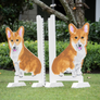 Kid Jump from Dalman Jump Co. (Corgis)