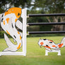 Koi Fish Jump Standards