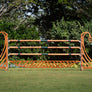 Lantern horse jump