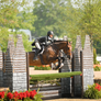Log Chimney hunter jump standards (Designer Series) from Dalman Jump Co.