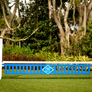 Monogram Hunter Gate