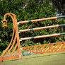 lantern horse jump