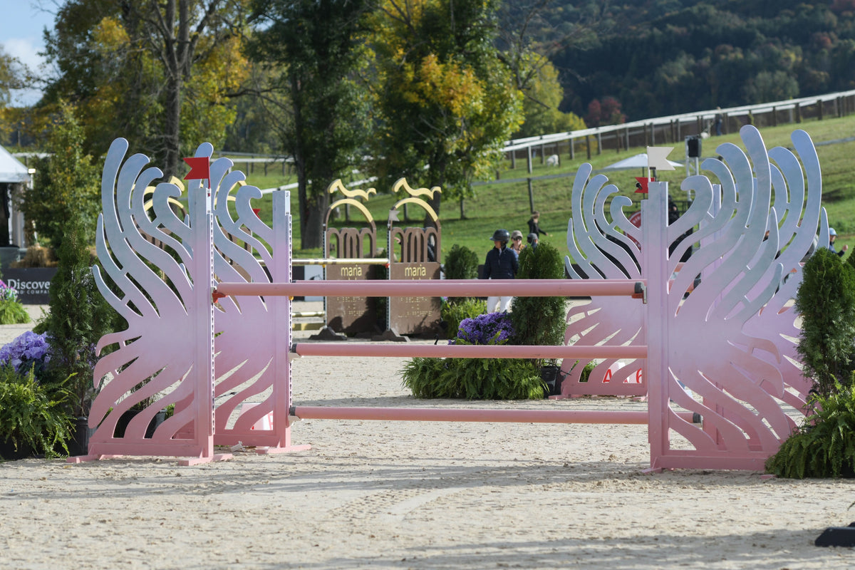 Boca Jump Standards – Dalman Jump Co