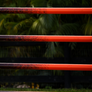 Ombre Jump Poles