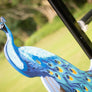 painted peacock horse jump