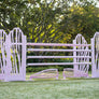 pink corral horse jump