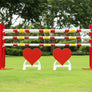 Heart Schooling Jumper Complete Jump