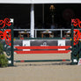 rose bouquet horse jumps tandards with red planks