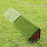 Turf Triangle Coup